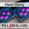 Hard Wang 03